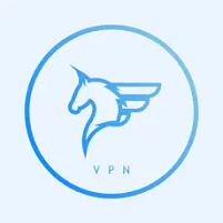 789飞马加速官网app